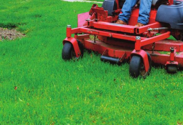 Shopping for yard equipment: Things you need to know before you buy