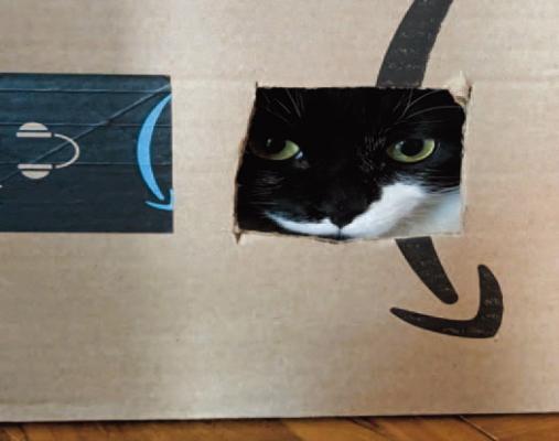 The Way of Cats