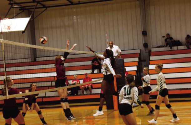 Lady Hornets win tournament