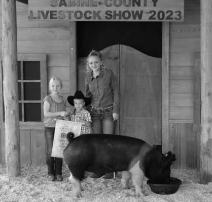 Reserve Champion Swine Owner: Olivia McElhaney Premium Buyer: 3315 Boat &amp; RV Storage Total Sale Price: $1,800.00