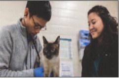Pet Talk