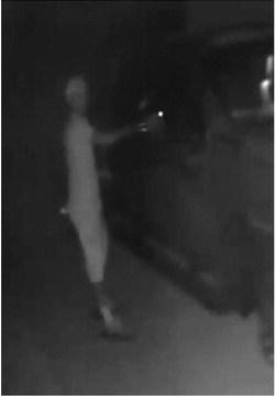 Automobile burglaries reported throughout Hemphill