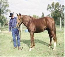 Dry Talos Cutter Bill and Ralph Hampton, 2002