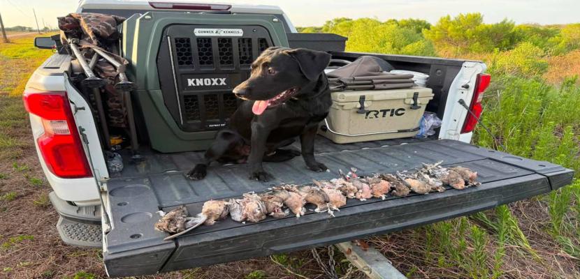What is New for Texas Hunting Season 2026-27?