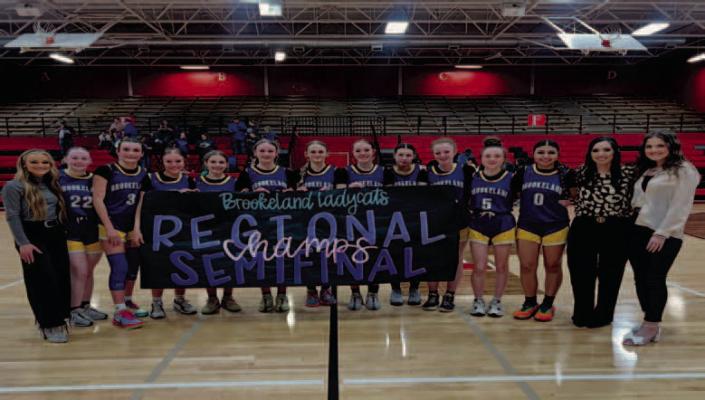 Wildcats, Lady Cats in playoff action