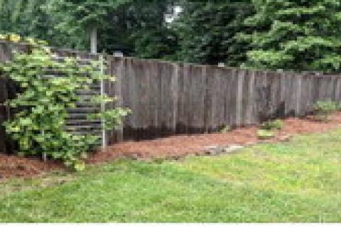 Sabine County Master Gardener’s present June garden tasks